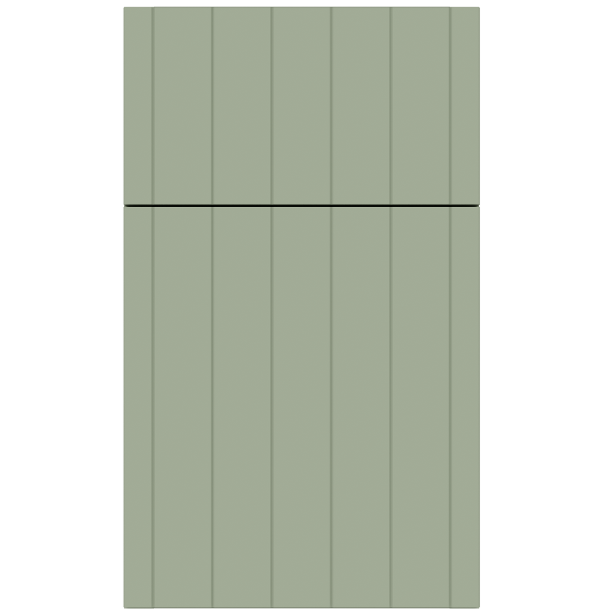 Vector